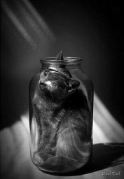 Я слышу свет